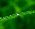 Aillevillers Droplet photo
