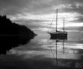 Cortes Island Boating picture