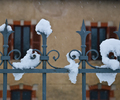 Aillevillers  Fence picture