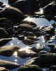 Cortes Island Seashore picture