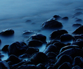 Cortes Island Shoreline picture