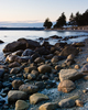 Cortes Island Seashore picture