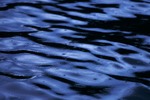 Cortes Island Reflection picture