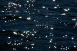 Stars II - Reflection  photo from  Salish Sea BC, Canada