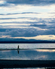 Cortes Island Landscape picture