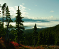 Vancouver Island Alpine Landscape photo