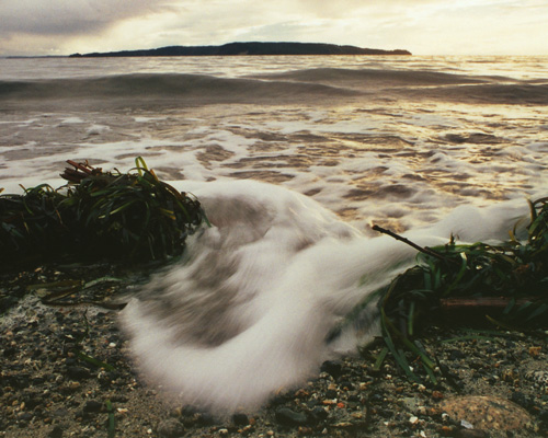 Seascape picture from  Cortes Island, BC Canada.