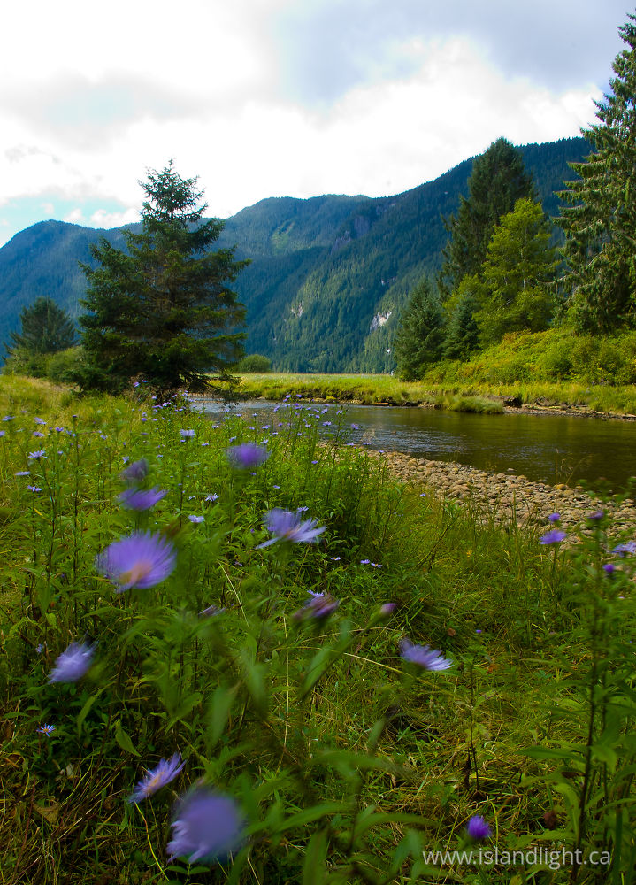 Landscape photo from Ahta River Bond Sound, British Columbia Canada.