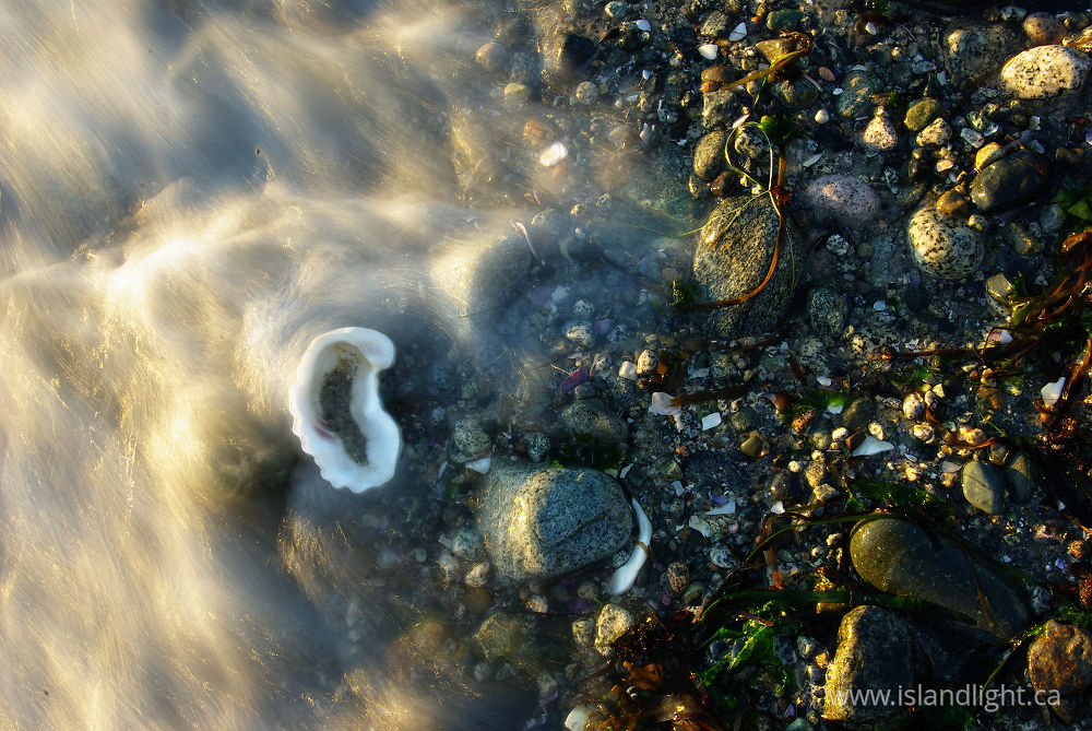 Seascape photo from Smelt Bay Cortes Island, BC Canada.