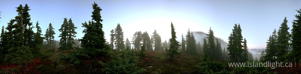 Landscape  photo from  Mount Washington, British Columbia Canada.