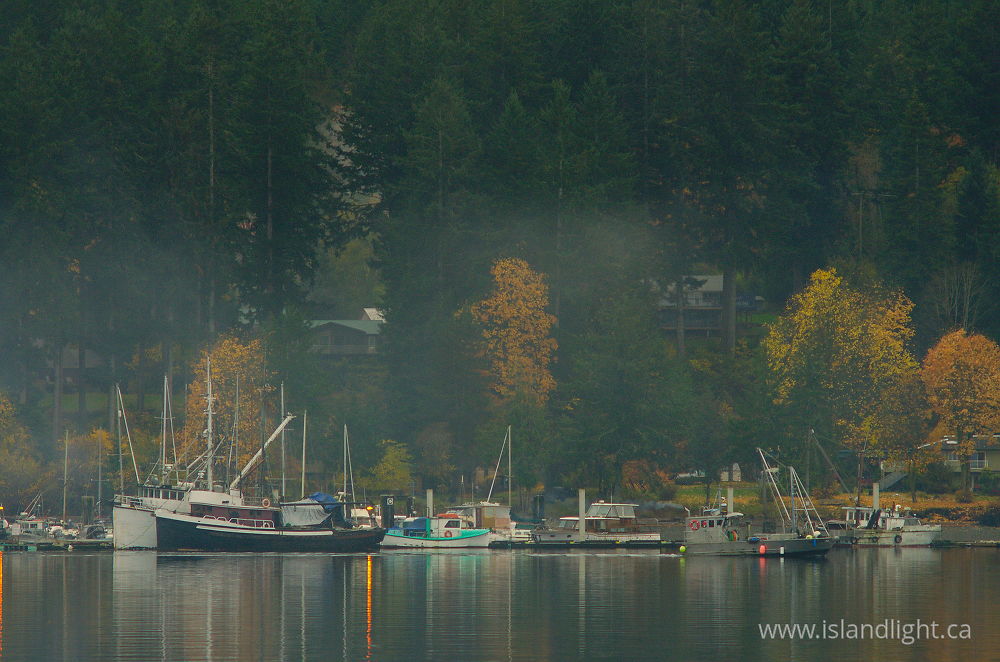 Landscape  photo from Heriot Bay Quadra Island, British Columbia Canada.