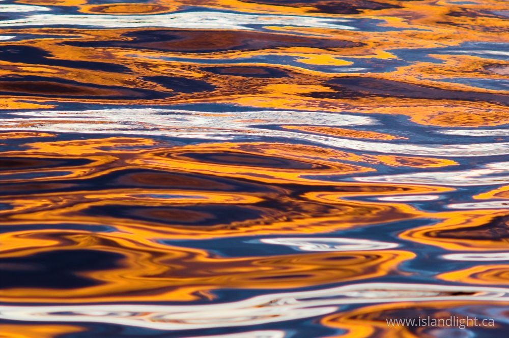 Reflection  photo from  Salish Sea, BC Canada.