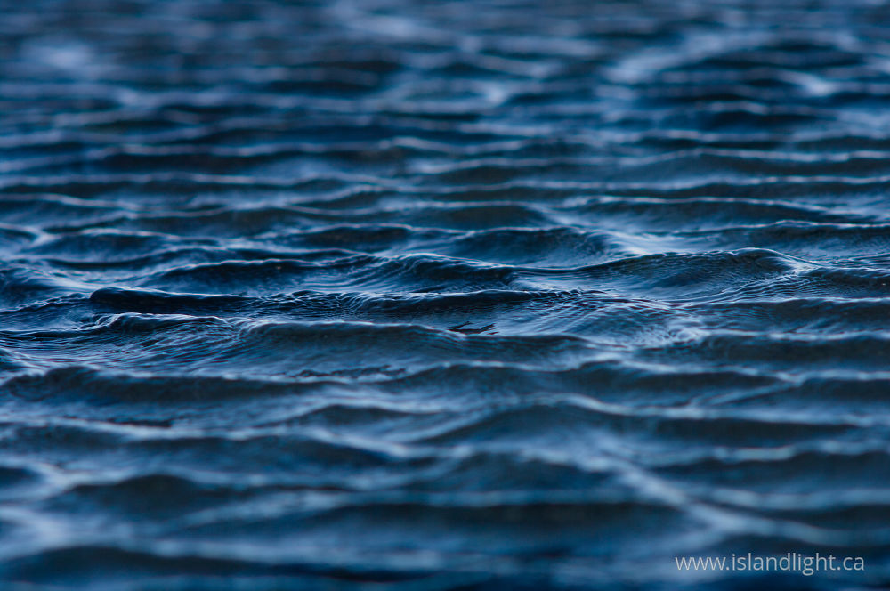 Reflection  photo from  Salish Sea, BC Canada.