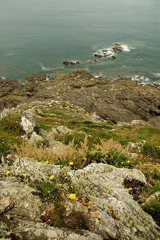  Landscape  picture from  France.