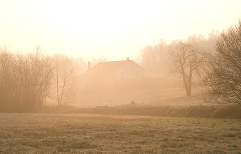Misty Morning ~ Landscape picture from Aillevillers France.