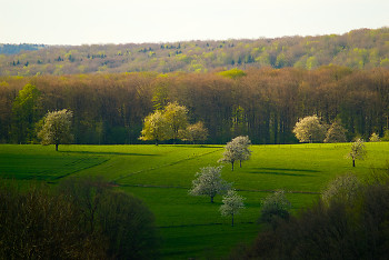  Landscape  picture from Aillevillers France.