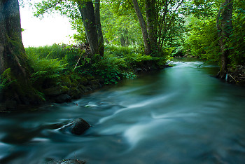  River picture from Aillevillers France.