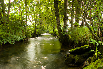  river picture from Aillevillers France.