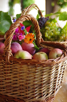 Abundance  ~ Basket picture from Cortes Island Canada.