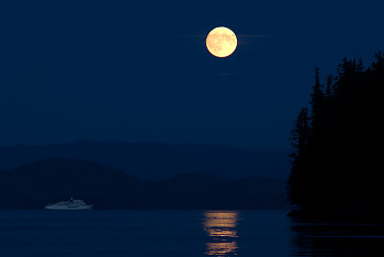 Prince Rupert Ferry ~ Ferry picture from Calvert Island Canada.