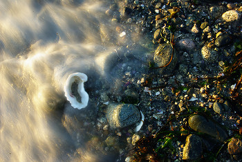  Beach picture from Cortes Island Canada.