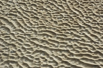 Sand ~ Beach picture from Cortes Island Canada.