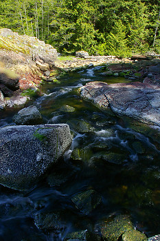  Creek picture from Cortes Island Canada.
