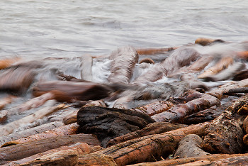 Beach Logs Battered by Swell ~ Driftwood picture from Cortes Island Canada.
