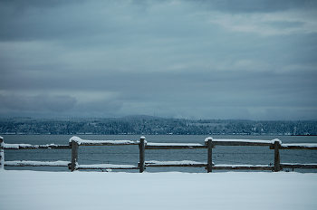 The Edge of the Back 40 ~ Fence picture from Cortes Island Canada.