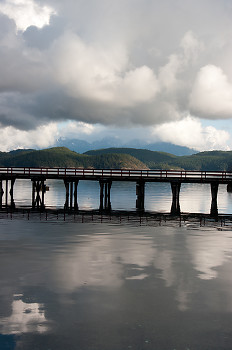 Sqirrel Cove Still Life ~ Landscape  picture from Cortes Island Canada.