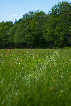 Was Here ~ Landscape  picture from Cortes Island Canada.