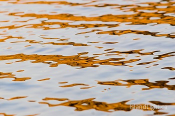  Reflection picture from Cortes Island Canada.