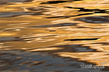  Reflection picture from Cortes Island Canada.