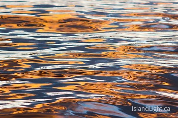  Reflection picture from Cortes Island Canada.