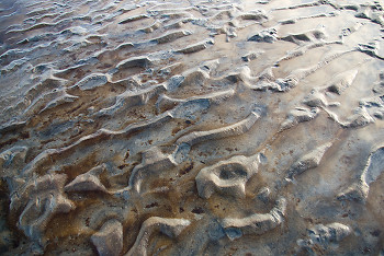  Sand picture from Cortes Island Canada.