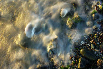 Change ~ Seascape  picture from Cortes Island Canada.