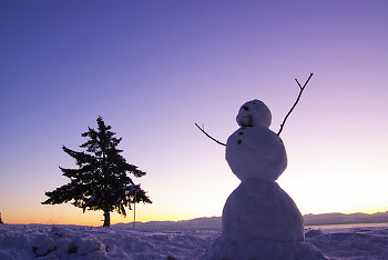 A Happy Snowman ~ Snowman picture from Cortes Island Canada.
