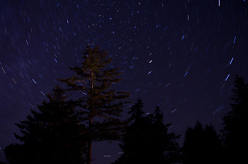 Polaris ~ Star picture from Cortes Island Canada.