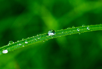 One Drop ~ Droplet picture from Aillevillers France.