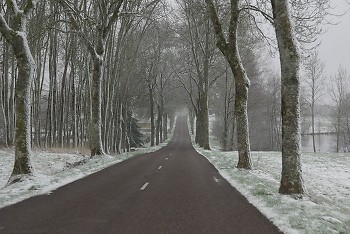 On the way to the farm ~ Landscape  picture from Esboz France.