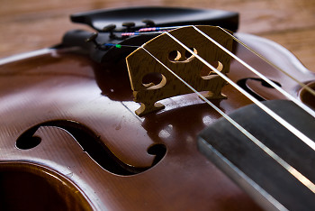 Violin ~ Fiddle picture from Aillevillers France.
