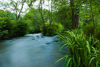 Springtime on the Auberonne River ~ Creek picture from France France.