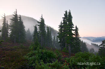 Predawn at Mount Washington ~ Landscape picture from Mount Washington Canada.