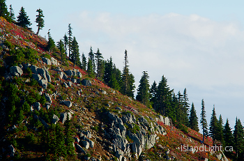 Mount Washington Slope ~ Mountain picture from Mount Washington Canada.