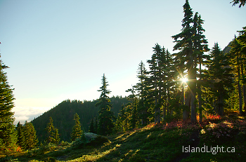 Sunrise On Mount Washington ~ Mountain Sunrise picture from Mount Washington Canada.