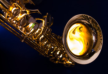 Saxophone ~ Musical Instrument picture from Cortes Island Canada.