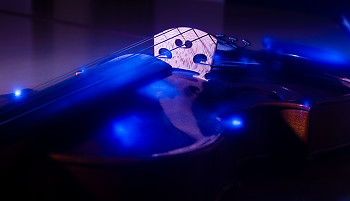 Violin  ~ Musical Instrument picture from Berlin Germany.