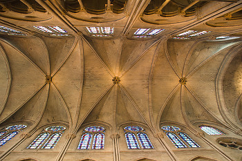 Notre dame ~ Cathedral picture from Paris France.