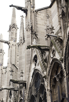 Gargoyles at Notre dame ~ Church picture from Paris France.