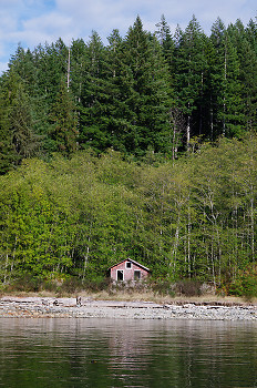 Derelict ~ Landscape  picture from Port Neville Canada.